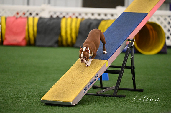 LMP_7469