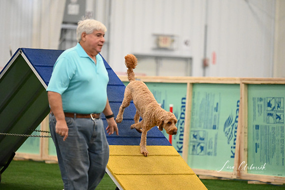 LMP_9615