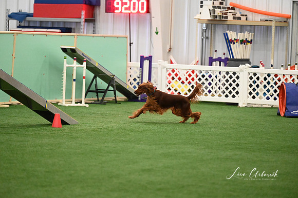 LMP_0135