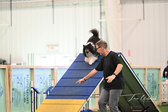 LMP_0022