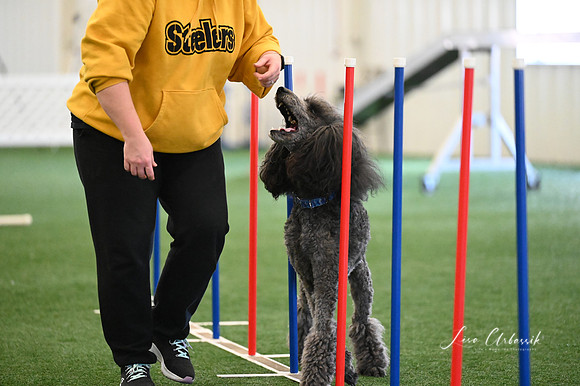 LMP_0308