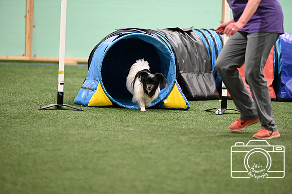 LMP_6255