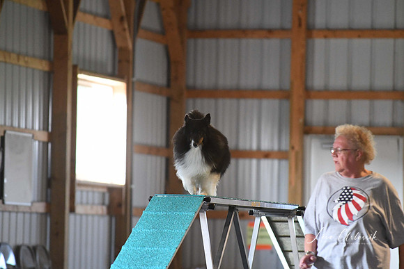 LMPDSC_5637