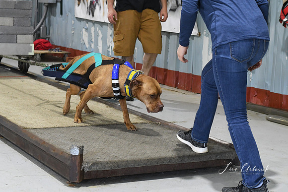DSC_2121
