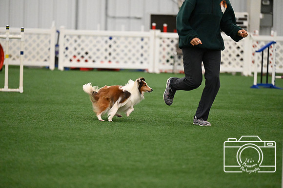 LMP_8233