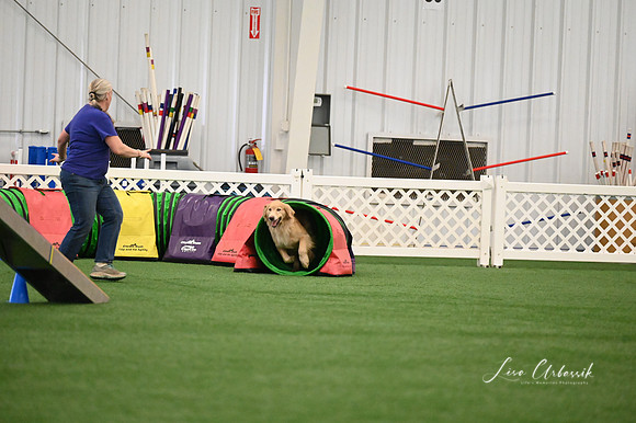 LMP_4477