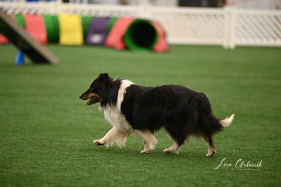 LMP_4107
