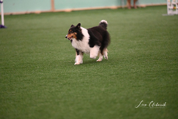 LMP_5019