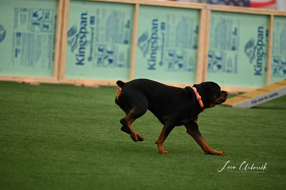 LMP_0379