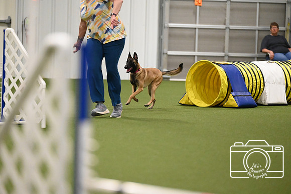 LMP_2620