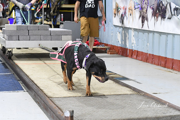 DSC_0646