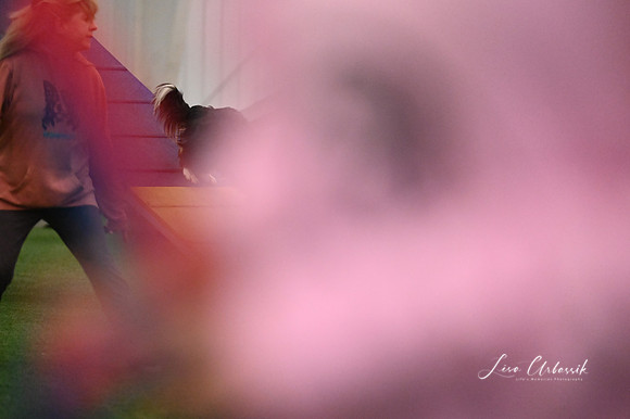 LMP_3011