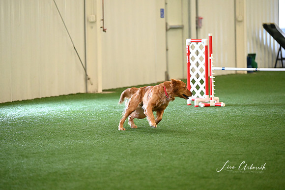 LMP_3831