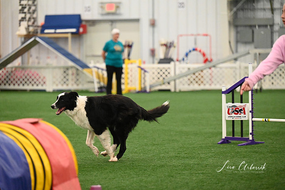 LMP_4486