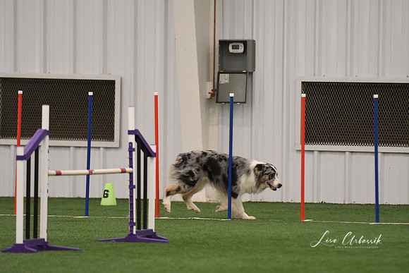DSC_6575