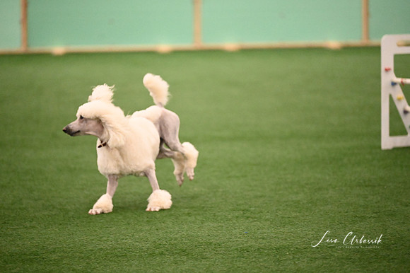 LMP_4732