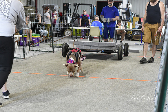 DSC_6415