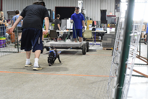 DSC_5744