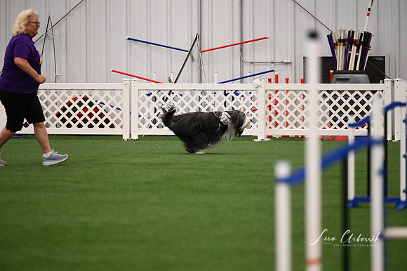 LMP_5215
