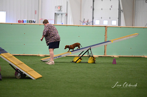 LMP_6650