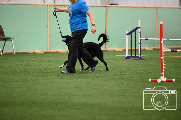LMP_3997