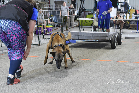 DSC_6426