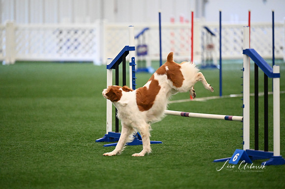 LMP_8422
