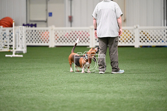 LMP_1656
