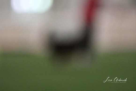 DSC_1014
