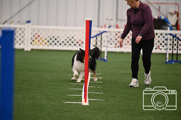 LMP_0037