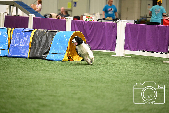 LMP_6554