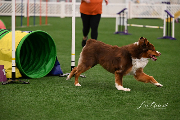 LMP_1943