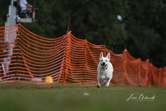 DSC_1783