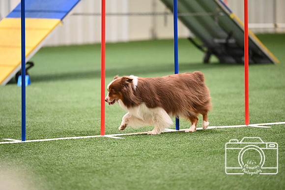 LMP_8473