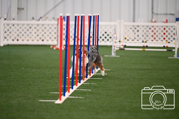 LMP_0916