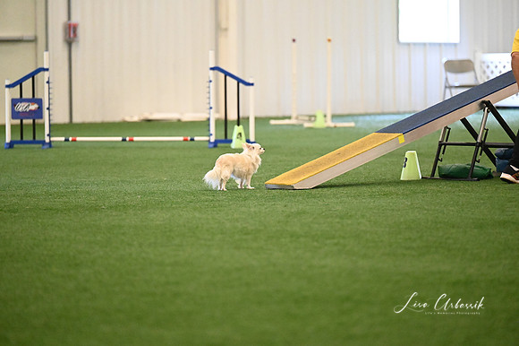 LMP_2904