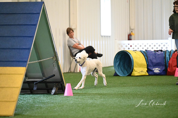 LMP_9015