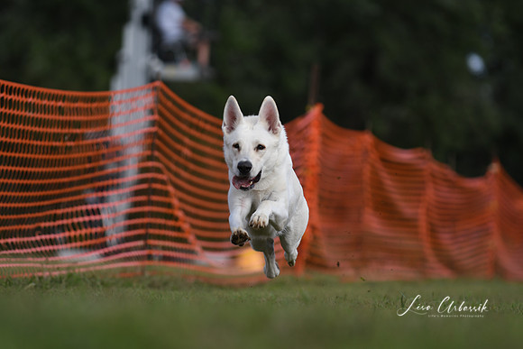 DSC_1787
