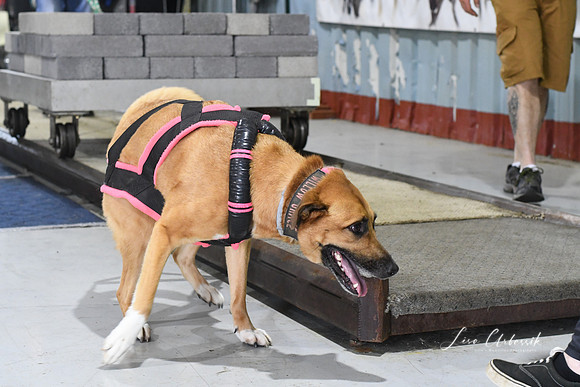 DSC_0860