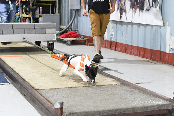 DSC_0400