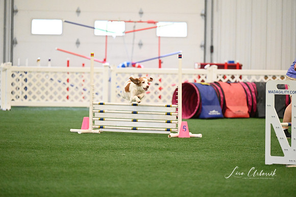 LMP_7489
