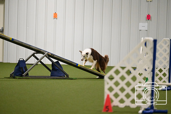 LMP_9123