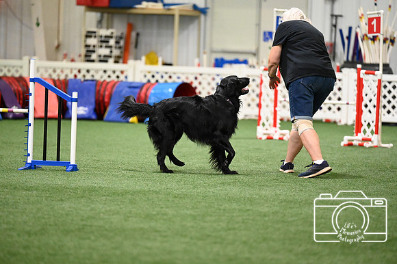LMP_6415
