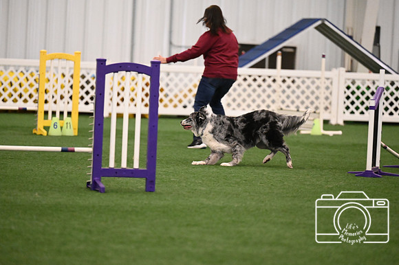 LMP_0022