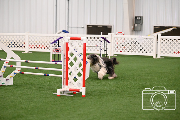 LMP_8223