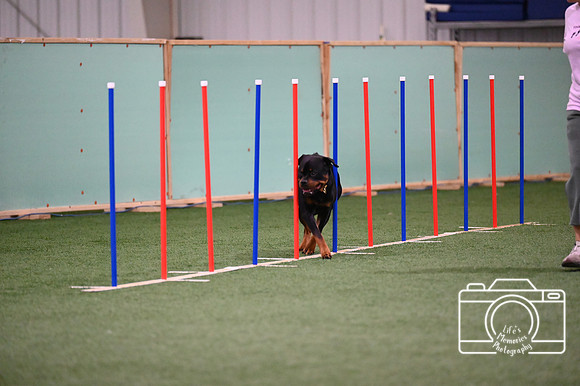LMP_9112