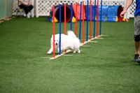 LMP_0190