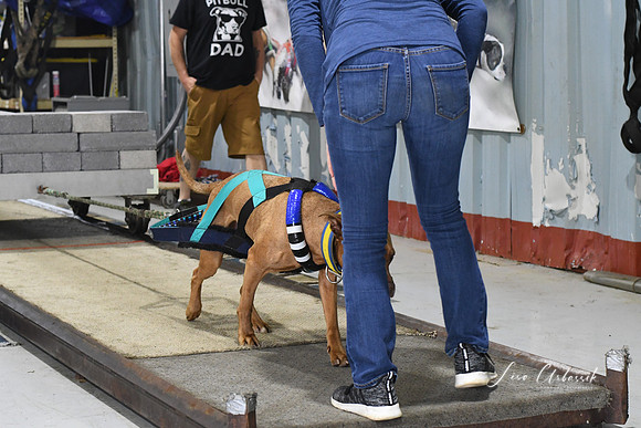 DSC_0879