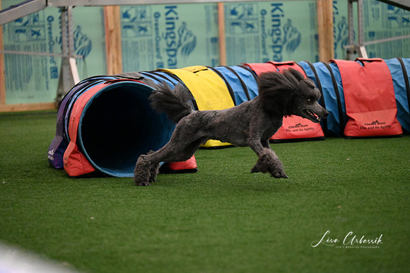 LMP_6068