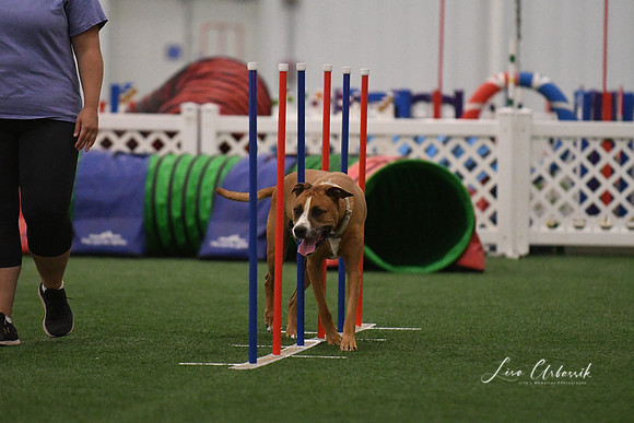 DSC_7838